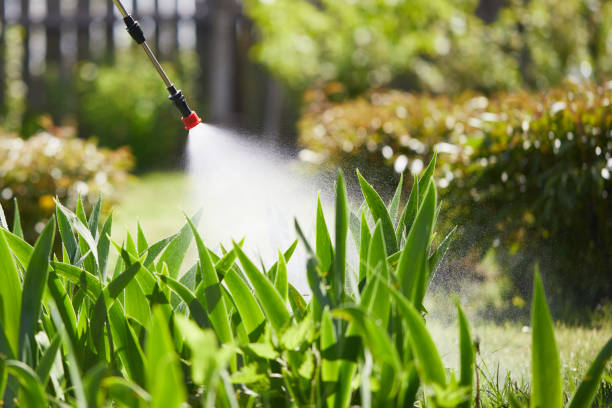 Tamper-Resistant Bait Stations for Rodents in Dixon
