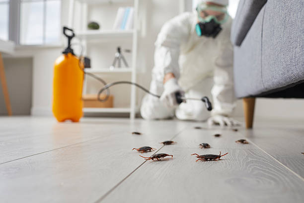 Commercial Rodent Management in Dixon